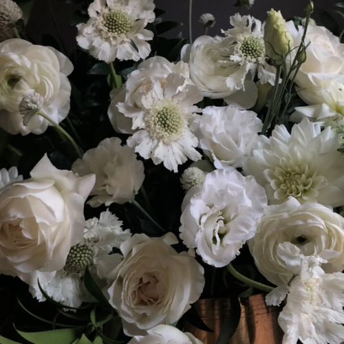 Snowball Chrysanthemums