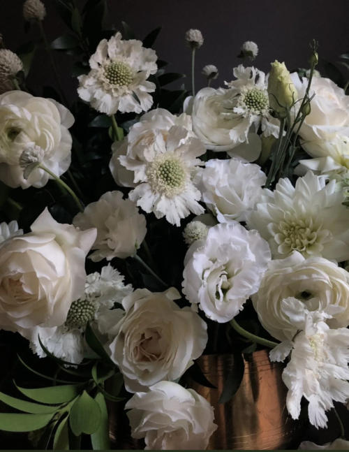 Snowball Chrysanthemums